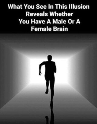 8 Mind-Bending Optical Illusions That Test Your Level of Self-Awareness