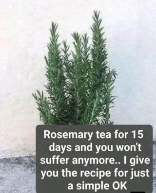 Rosemary Tea for Muscle and Joint Comfort: Benefits, Uses, and What to Expect