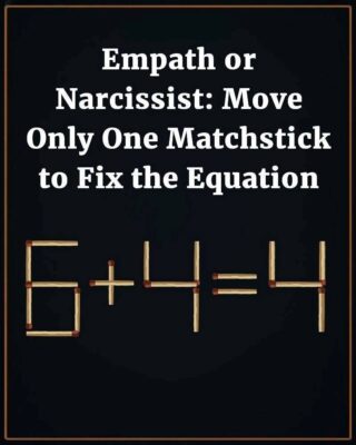 Empath or Narcissist: Move Only One Matchstick to Fix the Equation