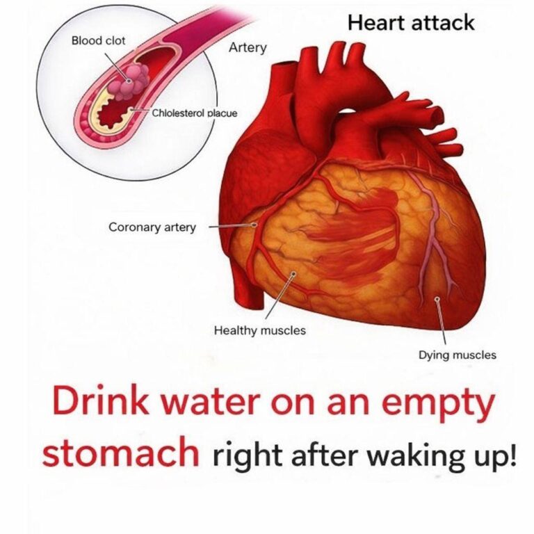 Did you know that it can be difficult to drink water on an empty stomach… see more👇
