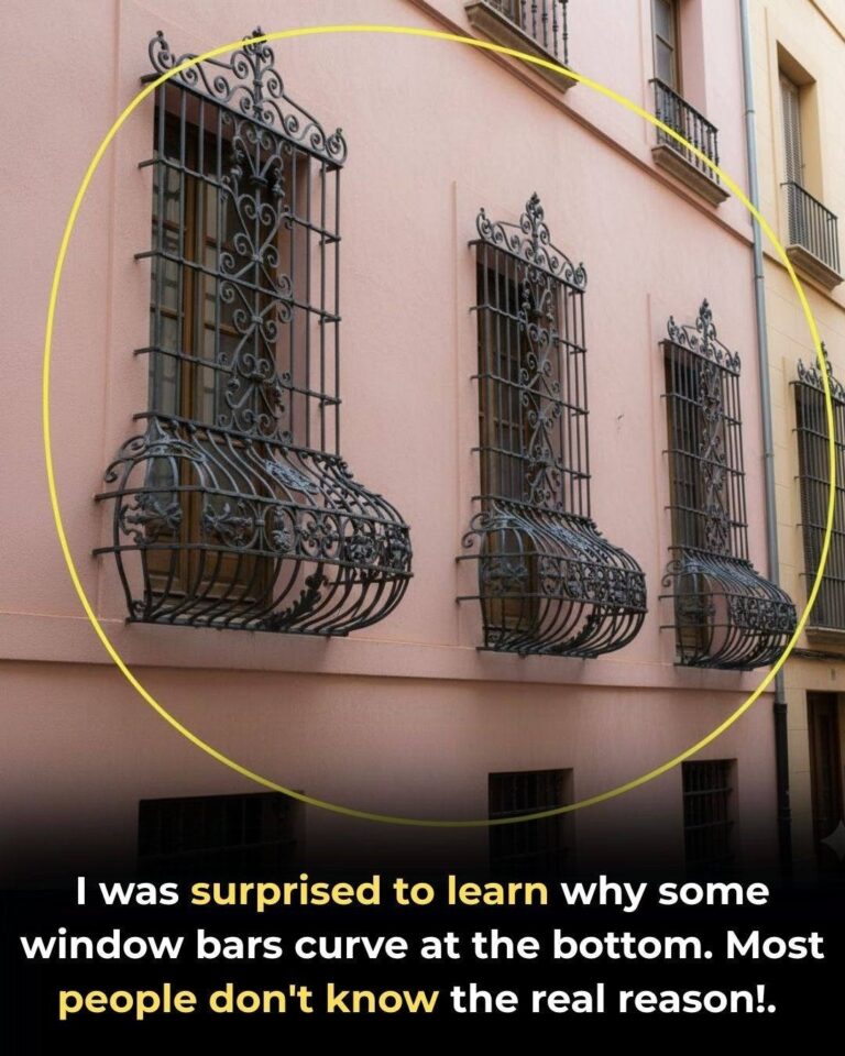 This Is Why Some Window Grills Have a Curve at the Bottom