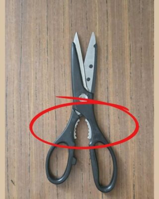 What Is That Weird Toothed Part on Kitchen Scissors For? Posted onFebruary 24, 2026 ByadminNo Commentson What Is That Weird Toothed Part on Kitchen Scissors For?