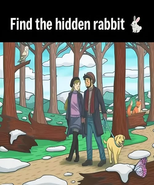Find the hidden rabbit in the image in a maximum of 15 seconds