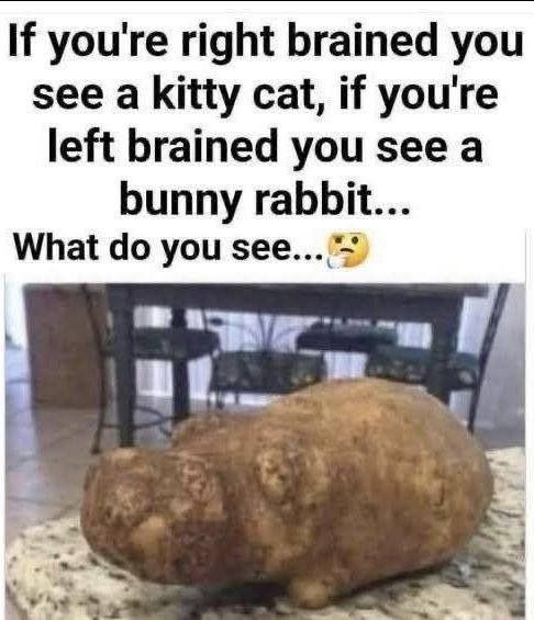 The Magical Potato Illusion
