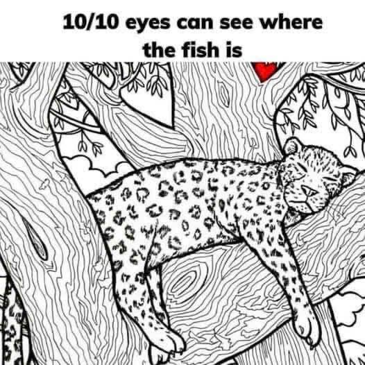 The Hidden Fish Puzzle That’s Stumping the Internet