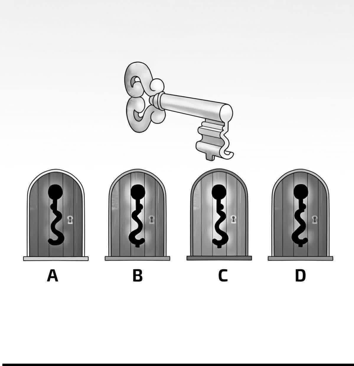 Which Door Would You Choose
