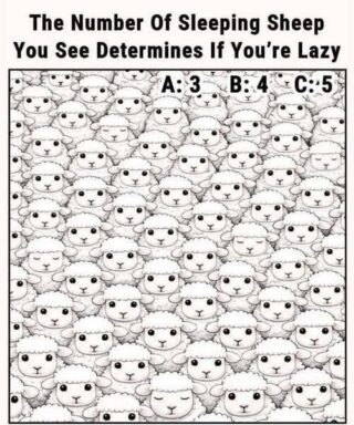 The Number Of Sleeping Sheep You See Determines If You’re Lazy