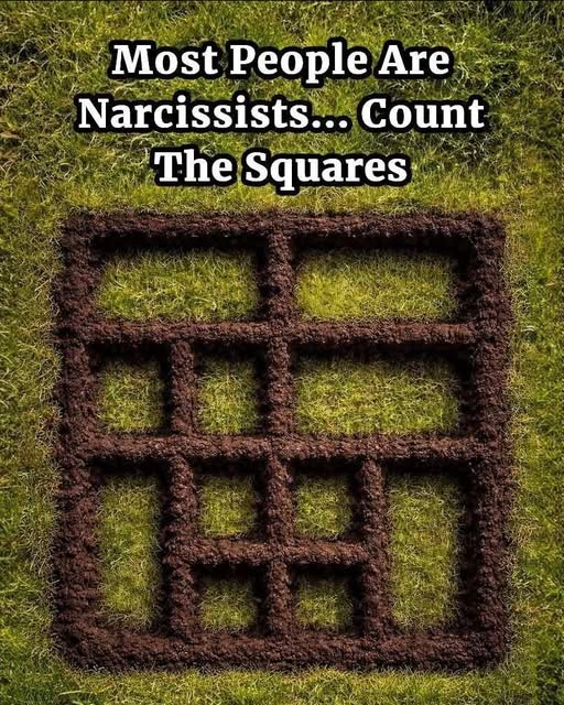 How Many Squares Can You Spot?