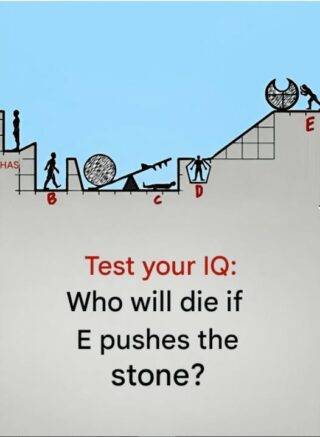 Test your IQ: Can you solve this test?