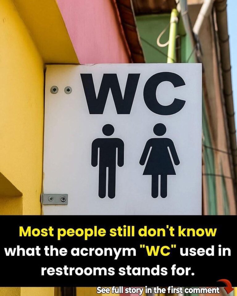 Why You Still See âWCâ on Washroom Signs Around the World