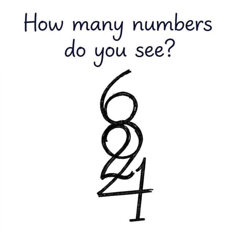 How Many Numbers Do You See