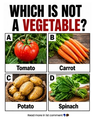 Are You Able to Solve This Tricky Question?
