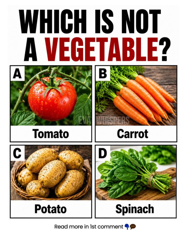 Are You Able to Solve This Tricky Question?
