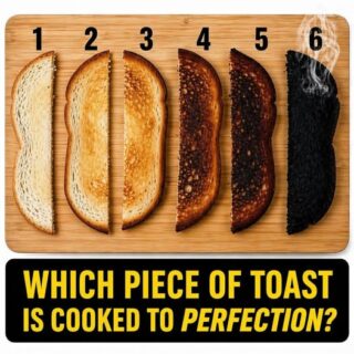Which Toast Is Perfect