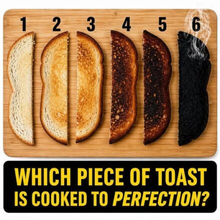 Which Toast Is Perfect