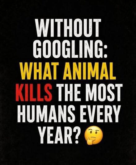 What Animal Kills the Most Humans Every Year?
