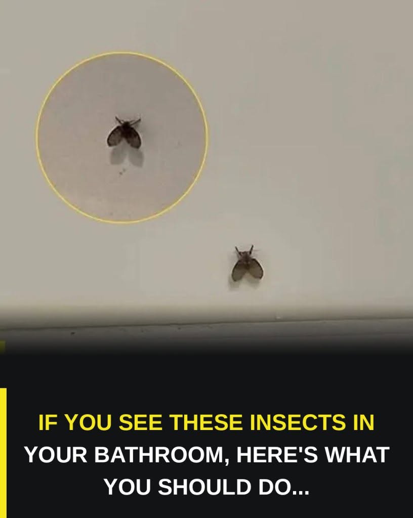 I didn’t know what it was. 😨Look at the first comment…