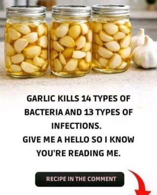 El Garlic: The Natural Antibiotic That Wages War on Infections