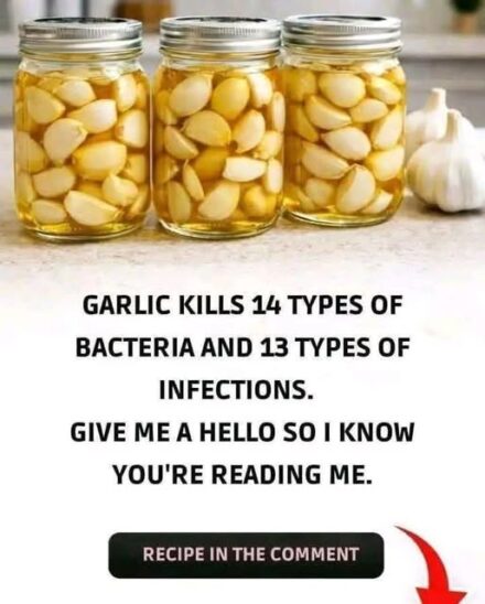 El Garlic: The Natural Antibiotic That Wages War on Infections